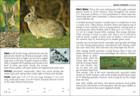 Mammals of Wisconsin Field Guide