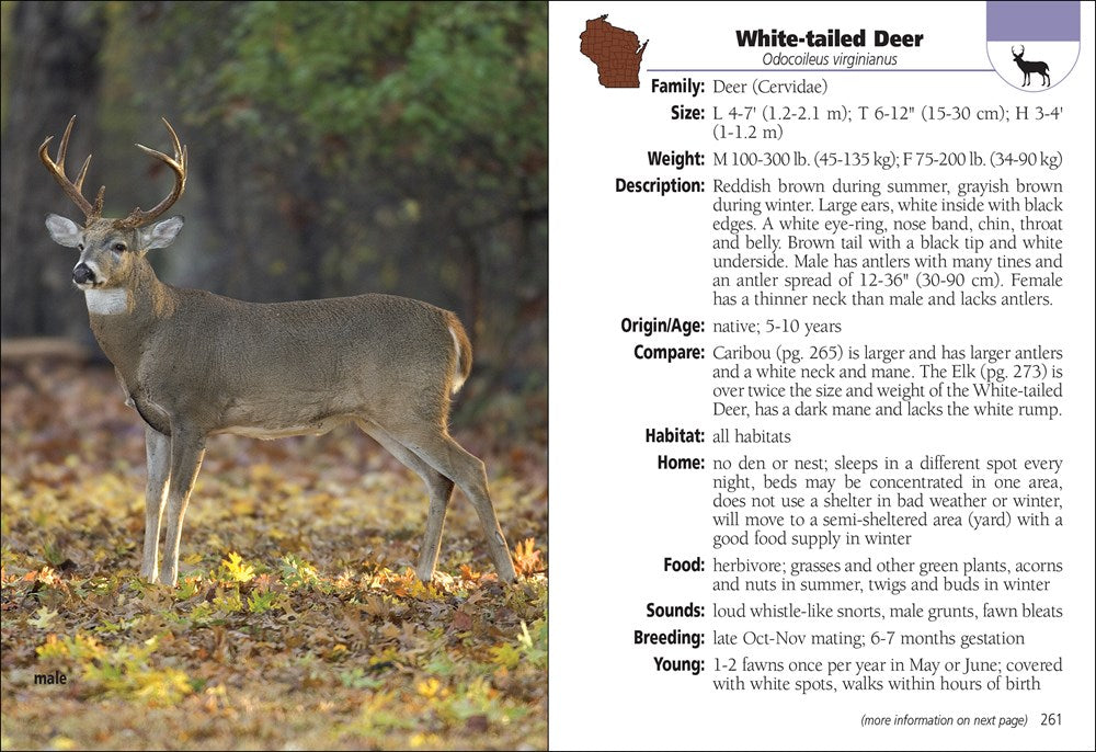 Mammals of Wisconsin Field Guide