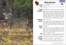 Mammals of Wisconsin Field Guide