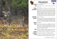 Mammals of Wisconsin Field Guide
