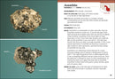 Arizona Rocks & Minerals