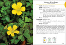 Wildflowers of Florida Field Guide