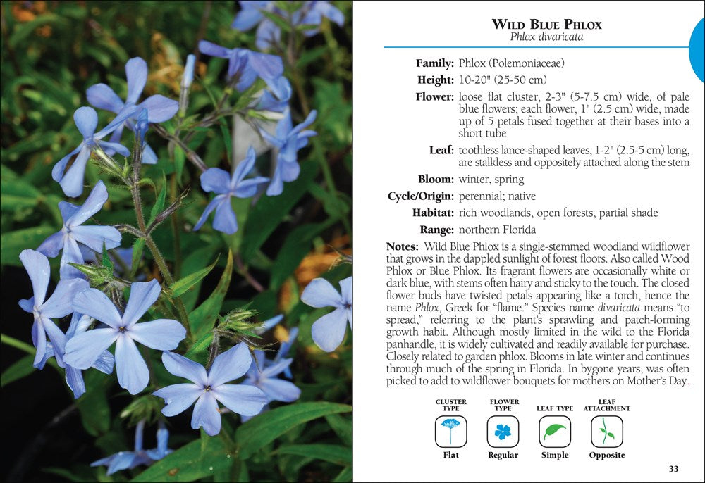 Wildflowers of Florida Field Guide