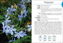 Wildflowers of Florida Field Guide