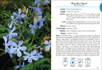 Wildflowers of Florida Field Guide