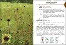 Wildflowers of Florida Field Guide
