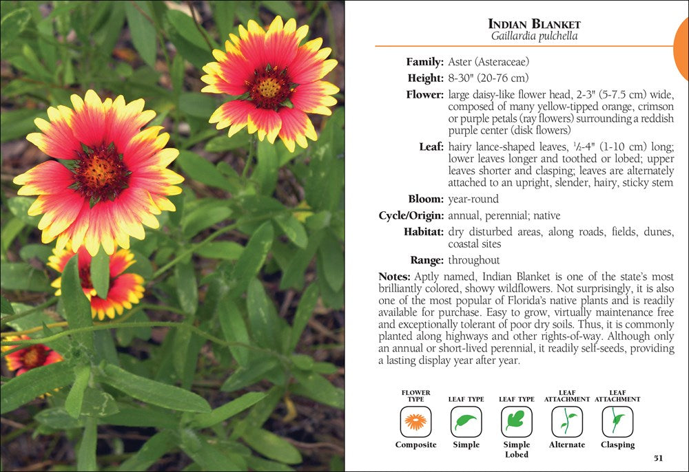Wildflowers of Florida Field Guide