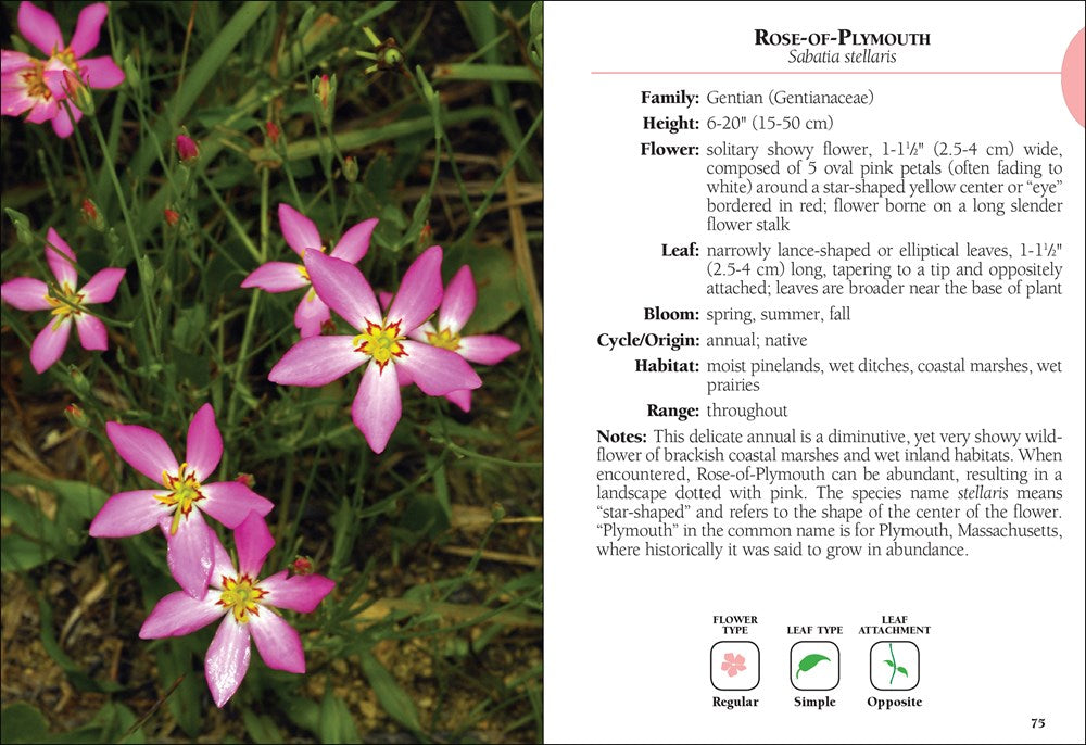 Wildflowers of Florida Field Guide