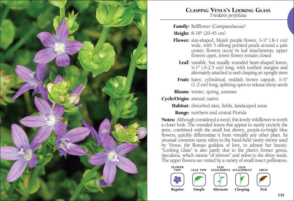 Wildflowers of Florida Field Guide