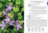Wildflowers of Florida Field Guide