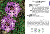 Wildflowers of Florida Field Guide