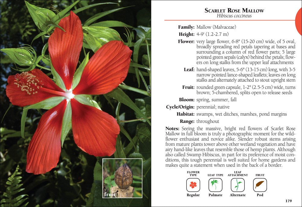 Wildflowers of Florida Field Guide