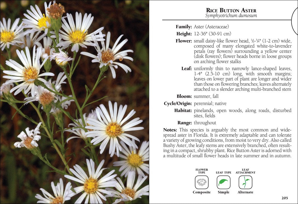Wildflowers of Florida Field Guide