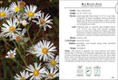 Wildflowers of Florida Field Guide