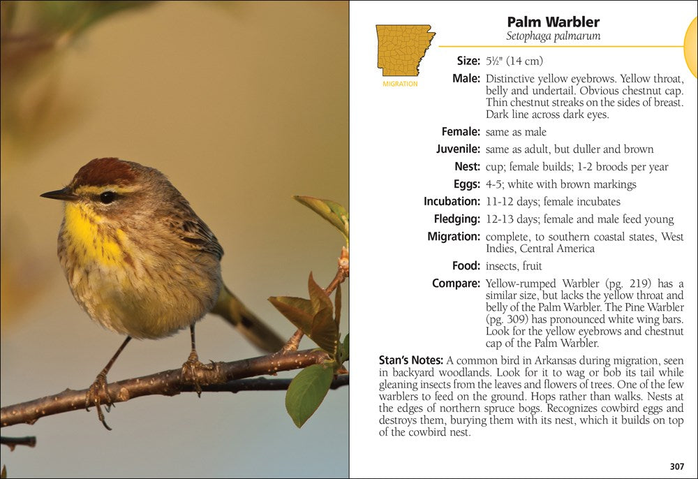 Birds of Arkansas Field Guide
