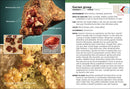 Minnesota Rocks & Minerals