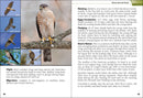 Birds of Prey of the South Field Guide