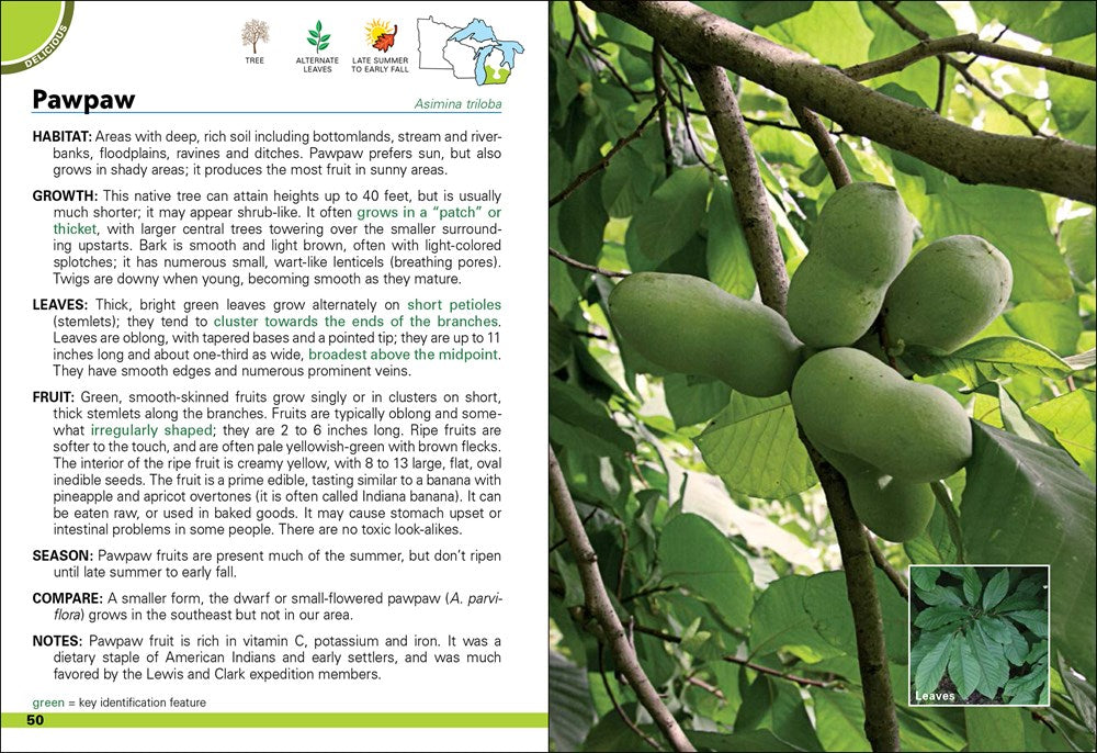 Wild Berries & Fruits Field Guide of Minnesota, Wisconsin & Michigan