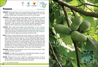 Wild Berries & Fruits Field Guide of Minnesota, Wisconsin & Michigan