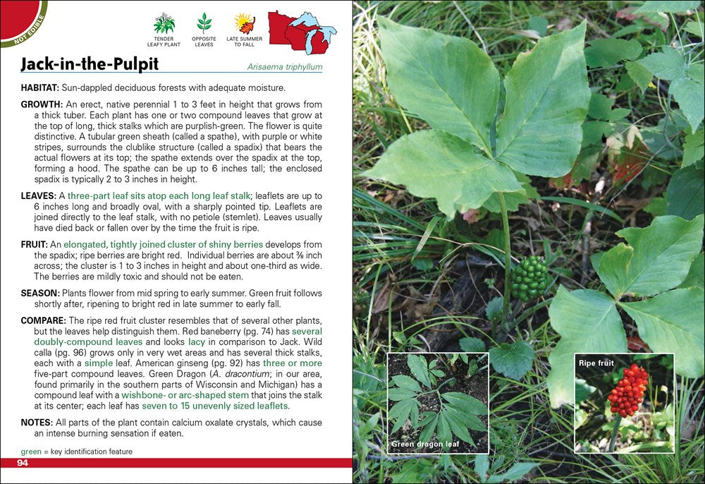 Wild Berries & Fruits Field Guide of Minnesota, Wisconsin & Michigan