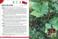 Wild Berries & Fruits Field Guide of Minnesota, Wisconsin & Michigan