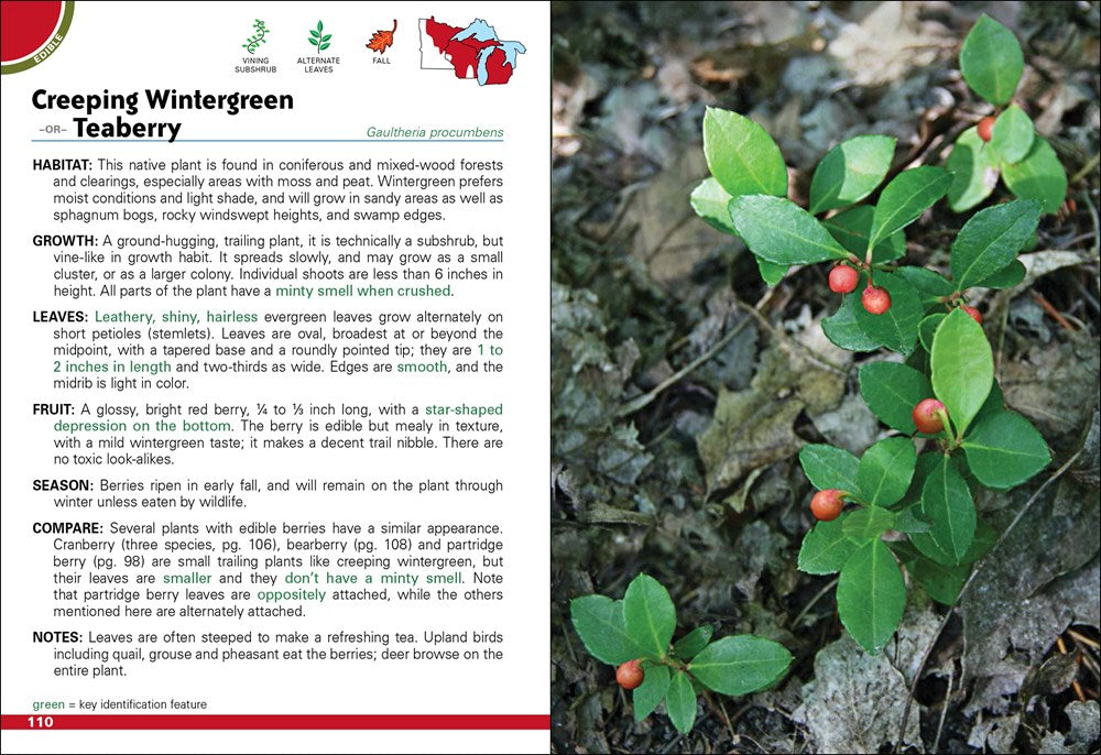 Wild Berries & Fruits Field Guide of Minnesota, Wisconsin & Michigan