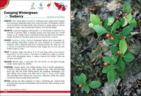 Wild Berries & Fruits Field Guide of Minnesota, Wisconsin & Michigan