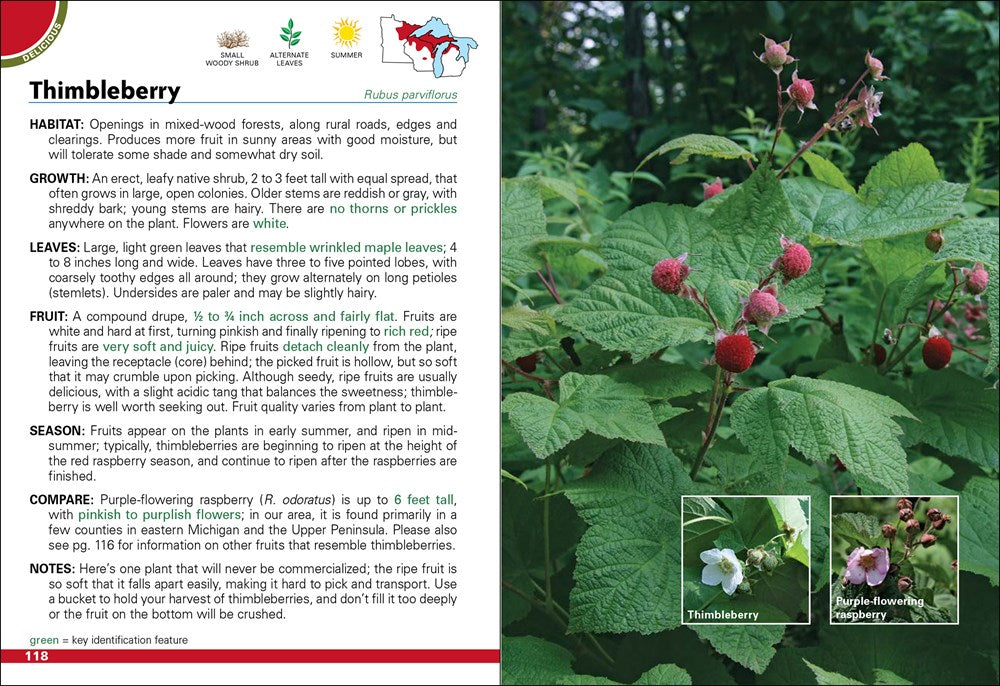 Wild Berries & Fruits Field Guide of Minnesota, Wisconsin & Michigan