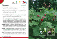 Wild Berries & Fruits Field Guide of Minnesota, Wisconsin & Michigan