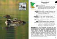 Birds of Minnesota Field Guide  (3rd Edition, Revised)