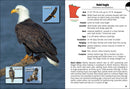 Birds of Minnesota Field Guide  (3rd Edition, Revised)
