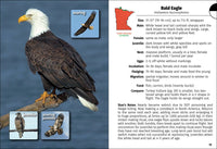 Birds of Minnesota Field Guide  (3rd Edition, Revised)