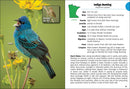 Birds of Minnesota Field Guide  (3rd Edition, Revised)