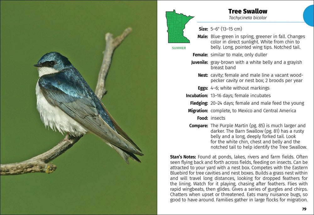 Birds of Minnesota Field Guide  (3rd Edition, Revised)