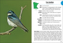 Birds of Minnesota Field Guide  (3rd Edition, Revised)