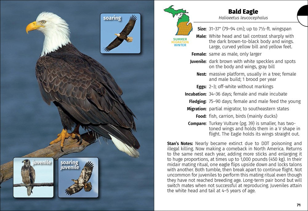 Birds of Michigan Field Guide  (3rd Edition, Revised)