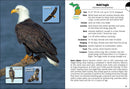 Birds of Michigan Field Guide  (3rd Edition, Revised)