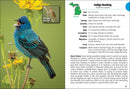 Birds of Michigan Field Guide  (3rd Edition, Revised)