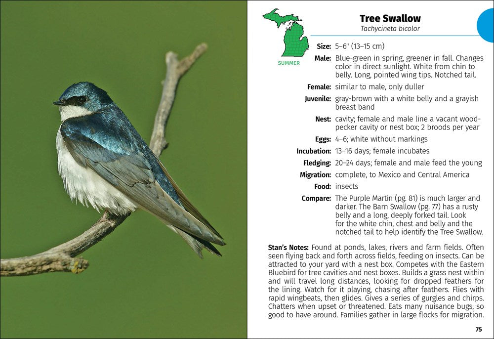 Birds of Michigan Field Guide  (3rd Edition, Revised)