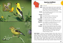 Birds of Wisconsin Field Guide  (3rd Edition, Revised)