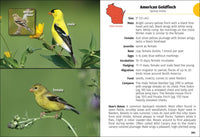 Birds of Wisconsin Field Guide  (3rd Edition, Revised)
