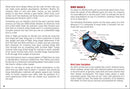 Birds of Wisconsin Field Guide  (3rd Edition, Revised)