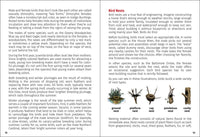 Birds of Wisconsin Field Guide  (3rd Edition, Revised)