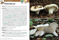 Mushrooms of the Upper Midwest: A Simple Guide to Common Mushrooms (2nd Edition, Revised)