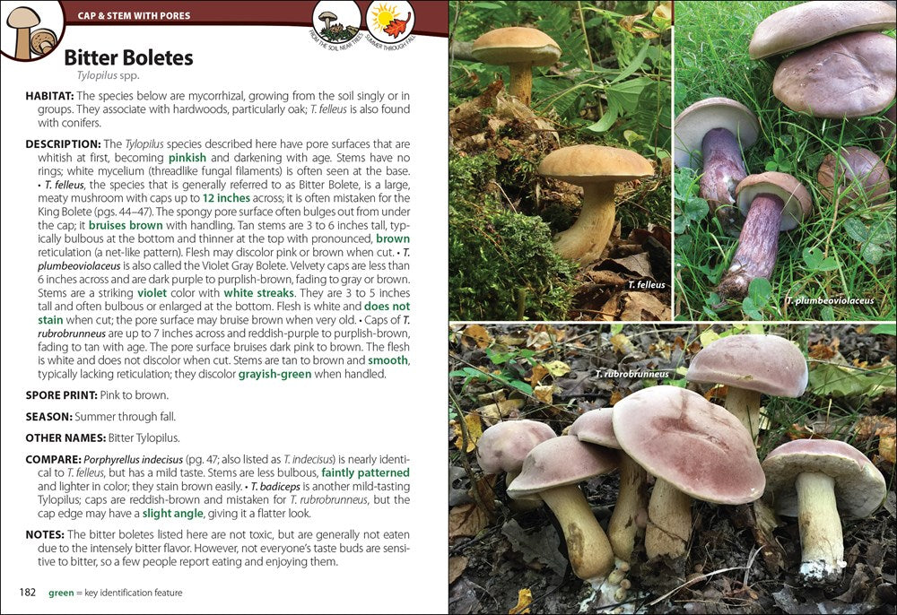 Mushrooms of the Upper Midwest: A Simple Guide to Common Mushrooms (2nd Edition, Revised)