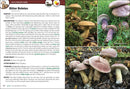 Mushrooms of the Upper Midwest: A Simple Guide to Common Mushrooms (2nd Edition, Revised)