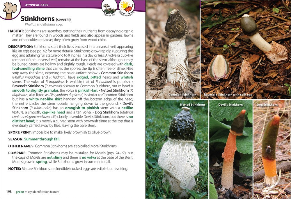 Mushrooms of the Upper Midwest: A Simple Guide to Common Mushrooms (2nd Edition, Revised)