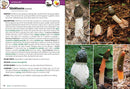 Mushrooms of the Upper Midwest: A Simple Guide to Common Mushrooms (2nd Edition, Revised)