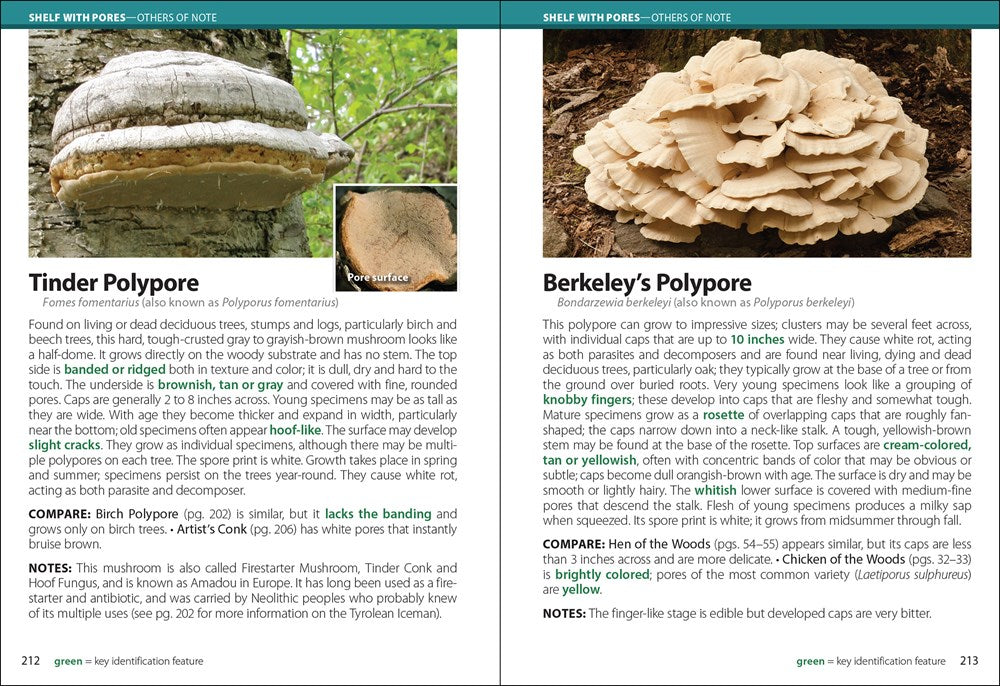 Mushrooms of the Upper Midwest: A Simple Guide to Common Mushrooms (2nd Edition, Revised)