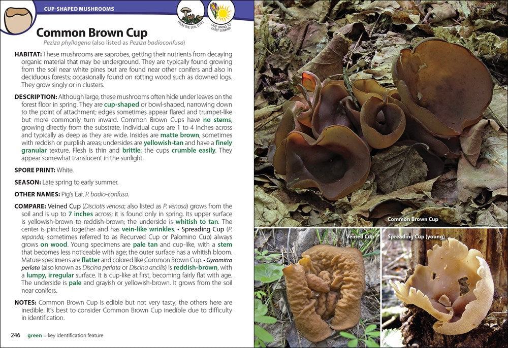 Mushrooms of the Upper Midwest: A Simple Guide to Common Mushrooms (2nd Edition, Revised)